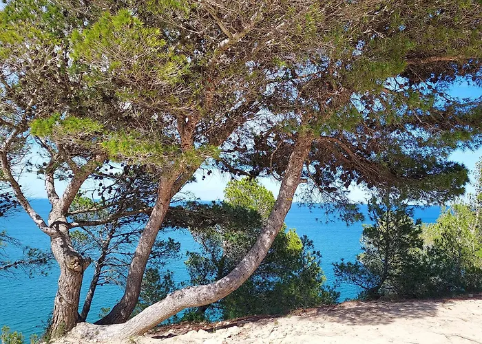 Hotel Rev'hotel Leucate